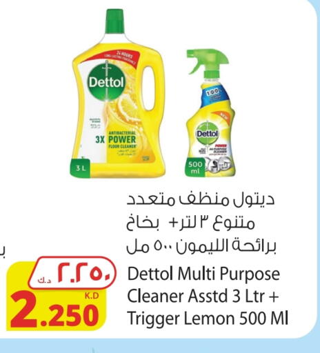 DETTOL available at Agricultural Food Products Co. in Kuwait - Ahmadi Governorate