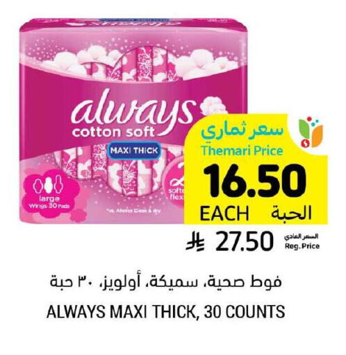 النظافة الشخصية النسائية in أسواق التميمي, المملكة العربية السعودية Offers - المملكة العربية السعودية ألويز available at أسواق التميمي in مملكة العربية السعودية, السعودية, سعودية - حفر الباطن