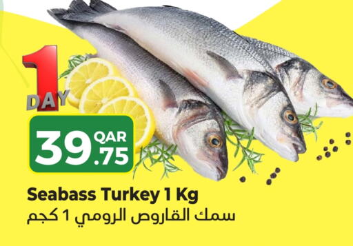 available at رامبو مارت in قطر - أم صلال
