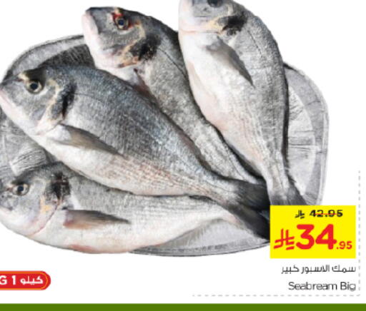 available at نستو in مملكة العربية السعودية, السعودية, سعودية - الخرج
