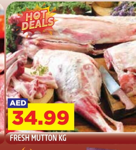 available at سنابل بني ياس in الإمارات العربية المتحدة , الامارات - أبو ظبي