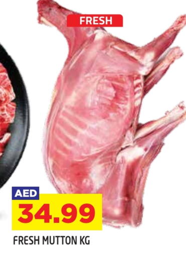 available at سنابل بني ياس in الإمارات العربية المتحدة , الامارات - أبو ظبي