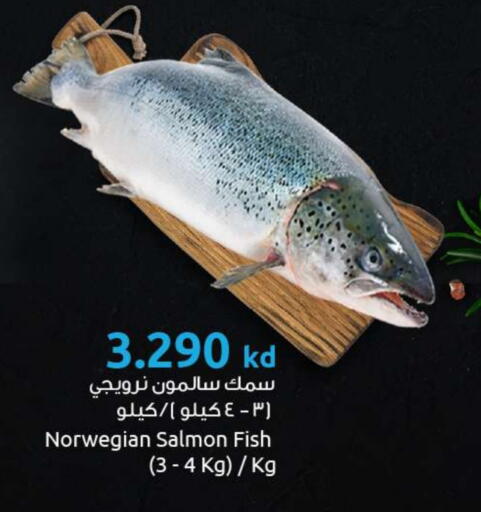 available at مركز سلطان in الكويت - مدينة الكويت
