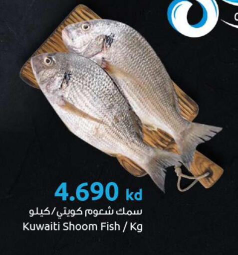 available at مركز سلطان in الكويت - محافظة الأحمدي