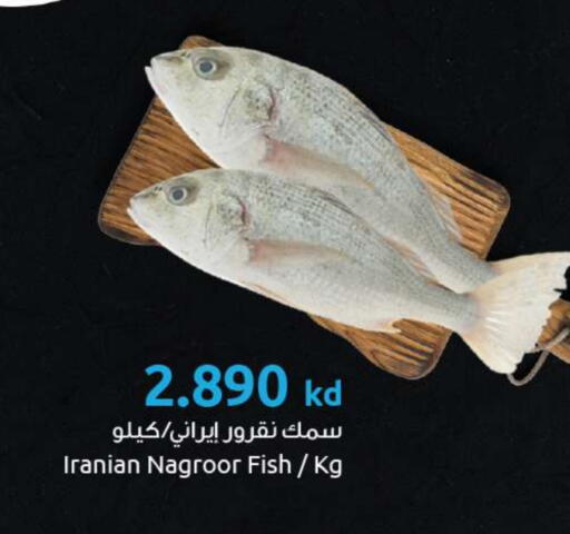 available at مركز سلطان in الكويت - مدينة الكويت