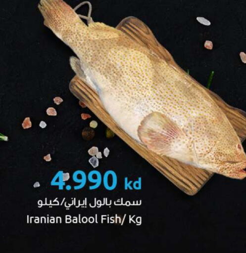 available at مركز سلطان in الكويت - محافظة الأحمدي