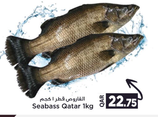available at دانة هايبرماركت in قطر - الوكرة