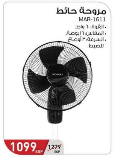 available at Panda  in Egypt - Cairo
