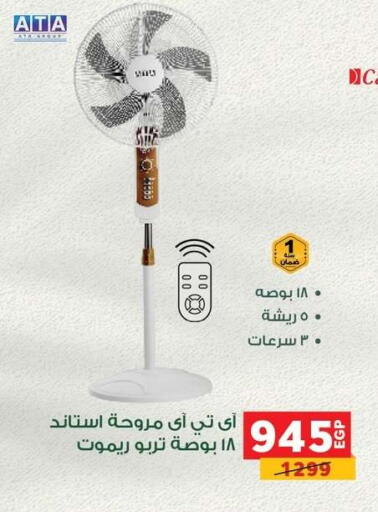available at Panda  in Egypt - Cairo