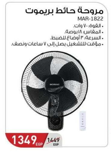 available at Panda  in Egypt - Cairo