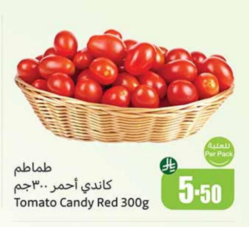 Tomato available at Othaim Markets in KSA, Saudi Arabia, Saudi - Dammam