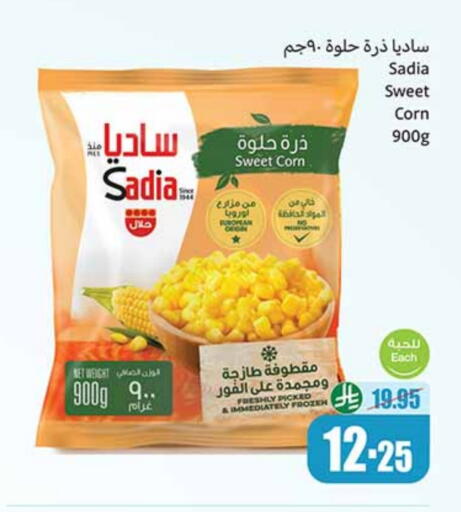 SADIA available at Othaim Markets in KSA, Saudi Arabia, Saudi - Al Bahah