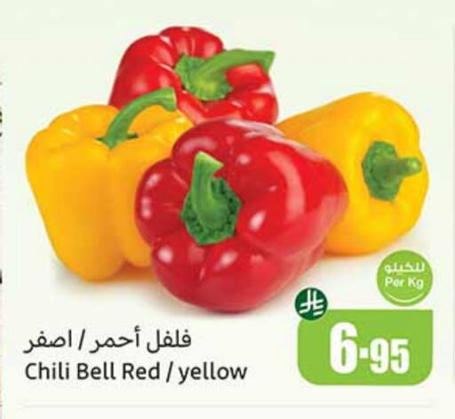 الخضروات الطازجة in أسواق عبد الله العثيم, المملكة العربية السعودية Offers - المملكة العربية السعودية فلفل / فليفلة available at أسواق عبد الله العثيم in مملكة العربية السعودية, السعودية, سعودية - عنيزة