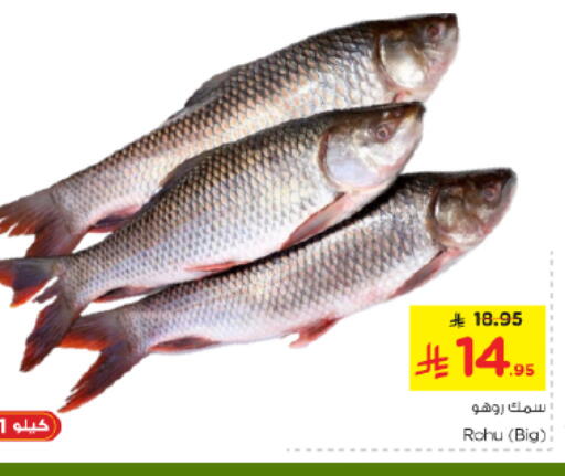 available at Nesto in KSA, Saudi Arabia, Saudi - Riyadh