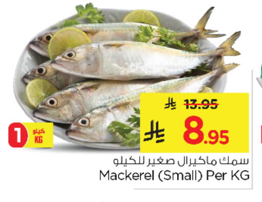 available at نستو in مملكة العربية السعودية, السعودية, سعودية - الأحساء‎