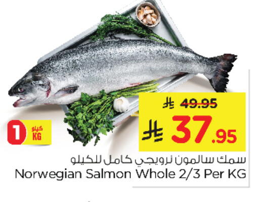 available at نستو in مملكة العربية السعودية, السعودية, سعودية - الأحساء‎