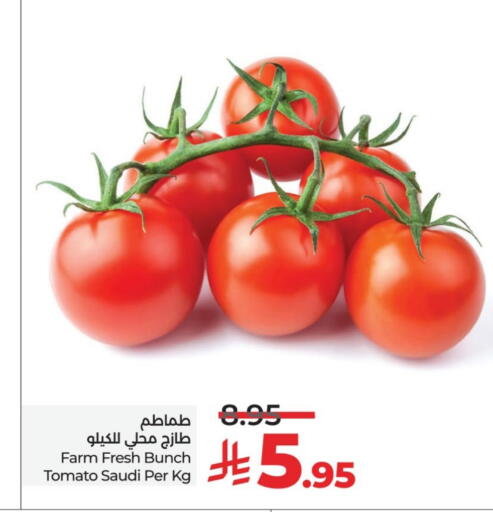 Tomato from Saudi Arabia available at LULU Hypermarket in KSA, Saudi Arabia, Saudi - Hafar Al Batin