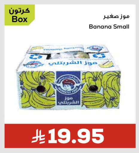 موز available at أسواق أسترا in مملكة العربية السعودية, السعودية, سعودية - تبوك