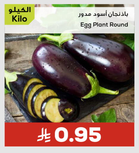 available at أسواق أسترا in مملكة العربية السعودية, السعودية, سعودية - تبوك