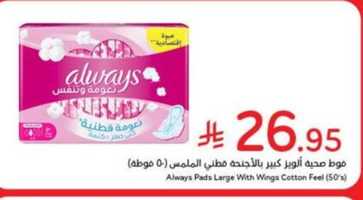 ALWAYS available at Hyper Panda in KSA, Saudi Arabia, Saudi - Al Hasa