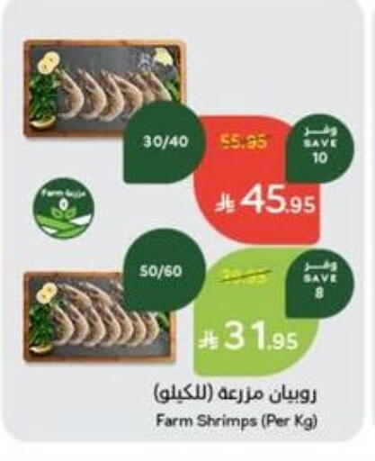 available at هايبر بنده in مملكة العربية السعودية, السعودية, سعودية - الطائف