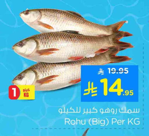 available at نستو in مملكة العربية السعودية, السعودية, سعودية - الخبر‎
