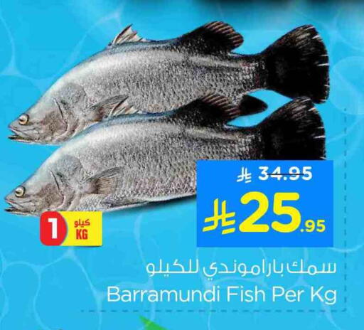 available at نستو in مملكة العربية السعودية, السعودية, سعودية - الخبر‎