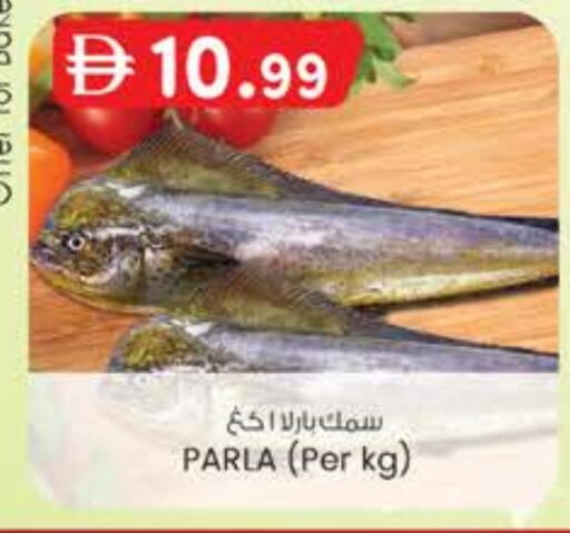 available at K M Trading  in UAE - Fujairah