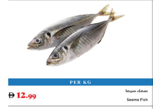 available at Trolleys Supermarket in UAE - Sharjah / Ajman