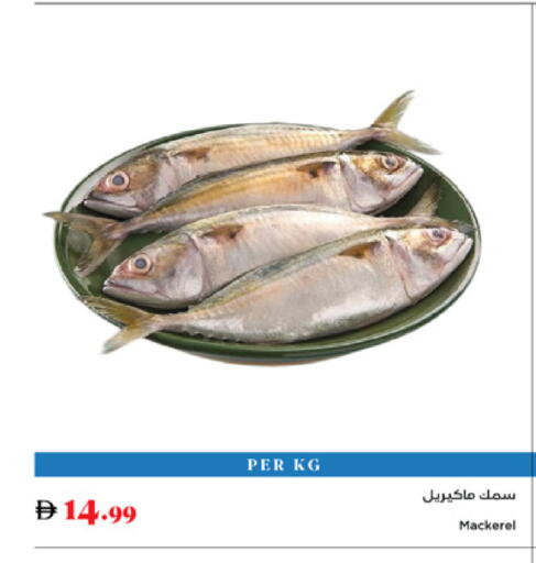 available at Trolleys Supermarket in UAE - Sharjah / Ajman