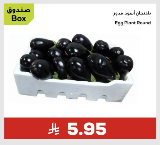 available at أسواق أسترا in مملكة العربية السعودية, السعودية, سعودية - تبوك