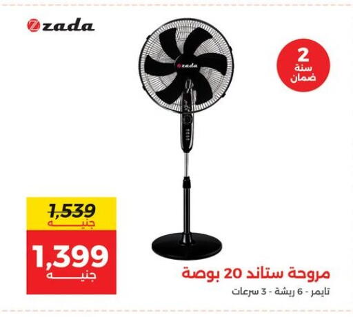 Fan available at Raneen in Egypt - Cairo