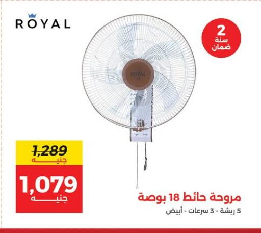 Fan available at Raneen in Egypt - Cairo