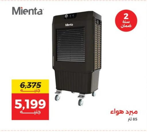 available at Raneen in Egypt - Cairo