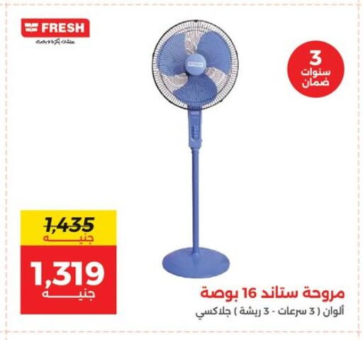 FRESH Fan available at Raneen in Egypt - Cairo