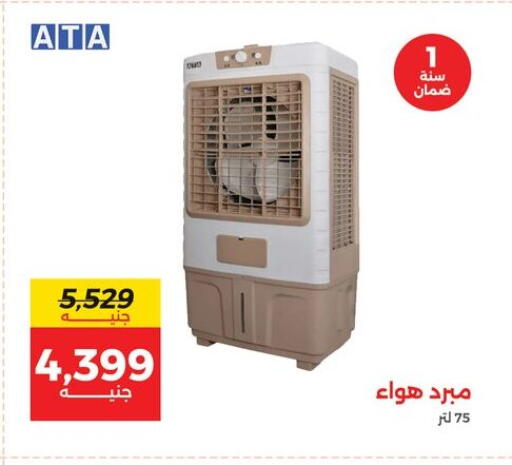 available at Raneen in Egypt - Cairo