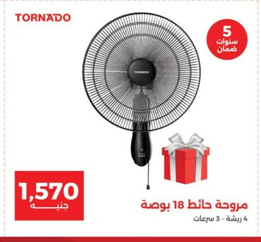 TORNADO Fan available at Raneen in Egypt - Cairo
