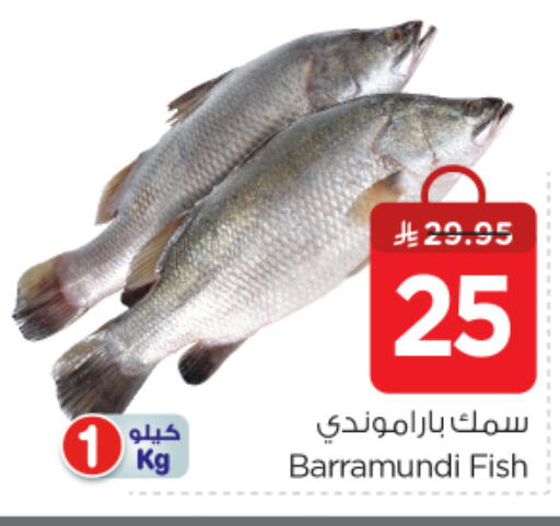 available at نستو in مملكة العربية السعودية, السعودية, سعودية - الرياض