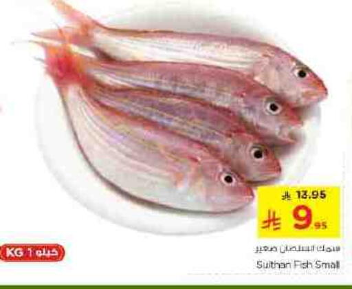 available at نستو in مملكة العربية السعودية, السعودية, سعودية - الخرج