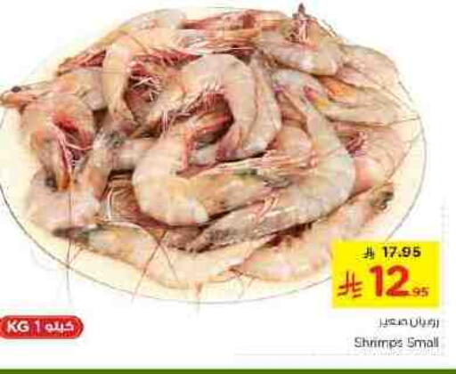available at نستو in مملكة العربية السعودية, السعودية, سعودية - الخرج