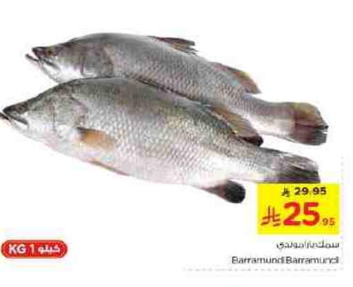 available at نستو in مملكة العربية السعودية, السعودية, سعودية - الخرج