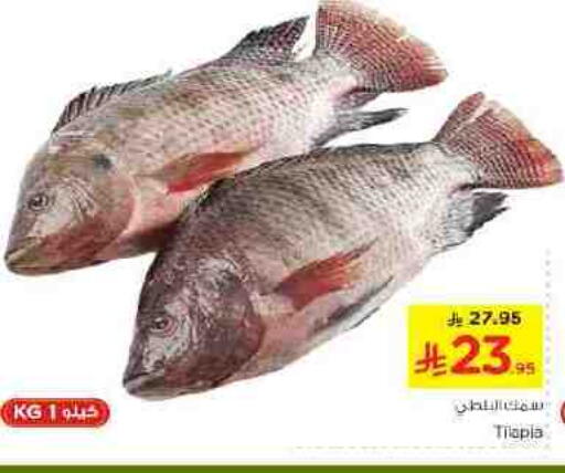 available at نستو in مملكة العربية السعودية, السعودية, سعودية - الخرج