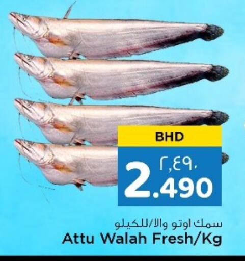 available at NESTO  in Bahrain