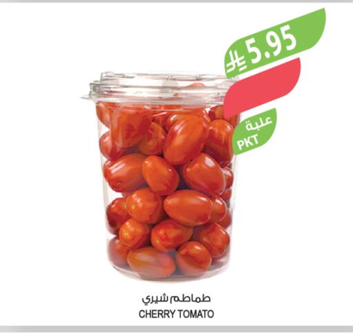 Tomato available at Farm  in KSA, Saudi Arabia, Saudi - Jeddah