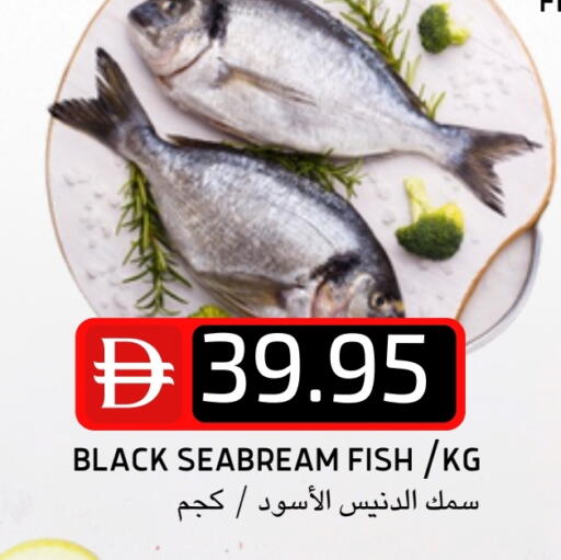 available at سيليكت ماركت in الإمارات العربية المتحدة , الامارات - أبو ظبي