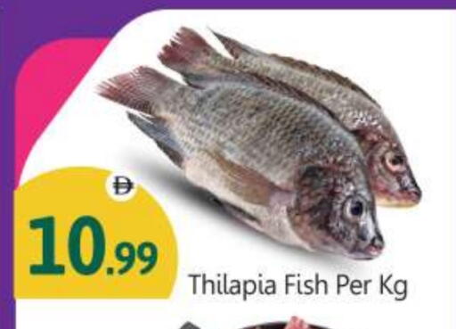 available at بيج مارت in الإمارات العربية المتحدة , الامارات - أبو ظبي