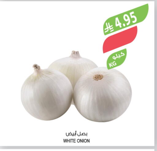White Onion available at Farm  in KSA, Saudi Arabia, Saudi - Tabuk