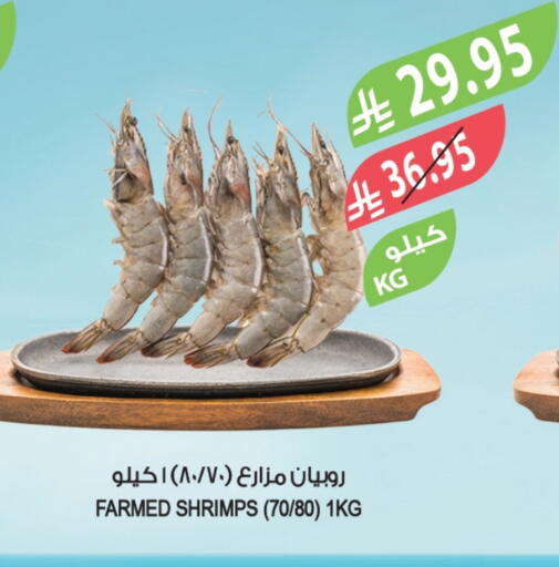 available at Farm  in KSA, Saudi Arabia, Saudi - Sakaka