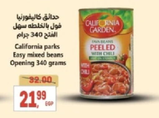 CALIFORNIA GARDEN Fava Beans available at El.Husseini supermarket  in Egypt - Cairo