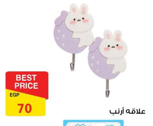 available at فتح الله in Egypt - القاهرة